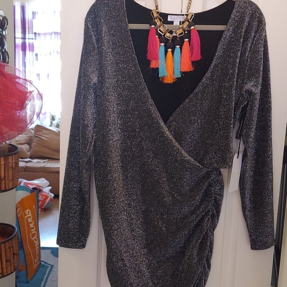 Metallic Dress - Picture 6 of 8